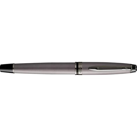 Waterman Expert Stylo Plume Metallic Silver Rt