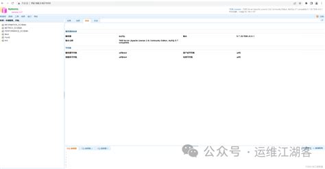 国产数据库实战之docker部署mywebsql数据库管理工具 极客之音