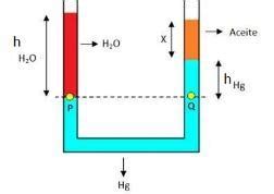 En La Figura Se Muestras Un Tubo En Forma De U Con Tres L Quidos En