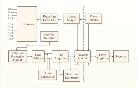 Ekg Labeled Diagram General Wiring Diagram