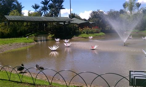 Botanical Garden In Bogota Joy To The World Places To See Adventure