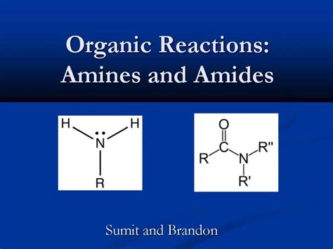 PPT - Organic Reactions: Amines and Amides PowerPoint Presentation ...