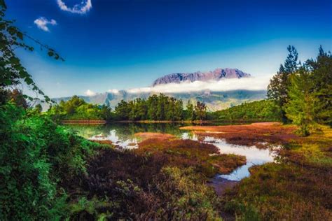 The Most Beautiful Hikes On Reunion Island Generalinfomax