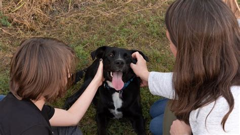 Home - Edmonton Humane Society