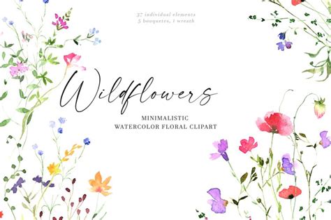 Watercolor Wildflowers Clipart Botanical Floral Files Flowers Clip