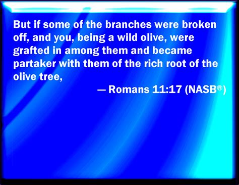 Romans 11 17 And If Some Of The Branches Be Broken Off And You Being