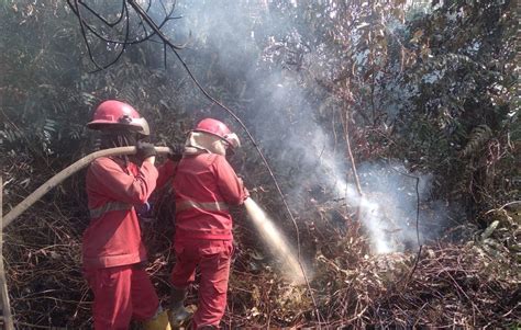 Delapan Titik Karhutla Di Sumsel Berhasil Dipadamkan Puluhan Lokasi