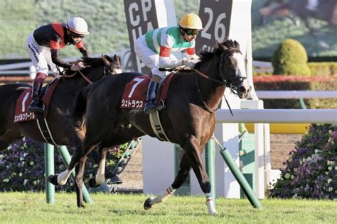 【東スポ杯2歳s】モレイラ騎乗、シュトラウスが出世レースを制する その他競技 スポーツブル スポブル