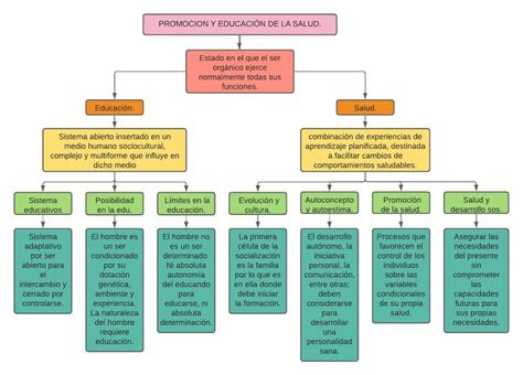 Promoción Y Educación De La Salud Shunashy Sandoval Udocz