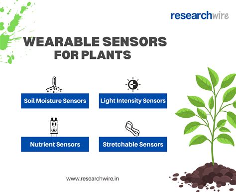 Revolutionizing Crops Wearable Plant Sensors for Smarter Farming