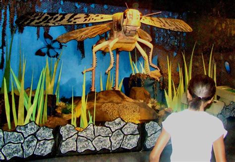 World Of Giant Insects Exhibit At The Arizona Science Center