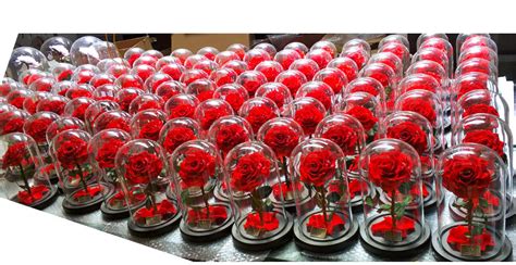 What is preserved rose - Permanentflower Preserved Rose Supplier