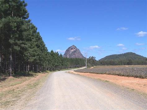 Glass House Mountains National Park - Photo 5