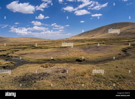 Bolivian Plateau Altiplano La Paz Bolivia Stock Photo Alamy