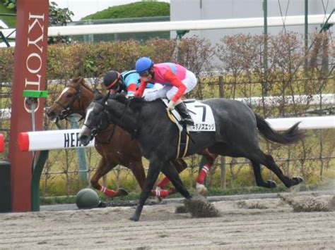 【京都4r新馬戦結果】ジョーカプチーノ産駒キタノズエッジがゴール前で差し切りv 競馬ニュース Netkeiba