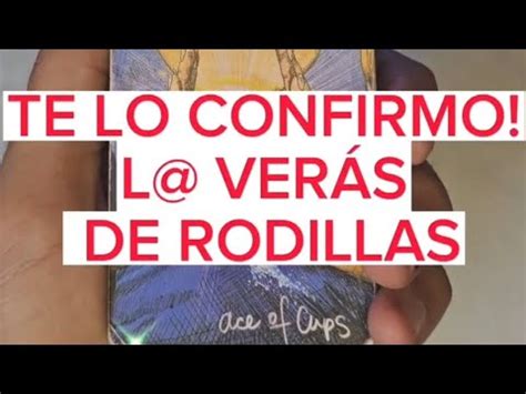 Te Lo Confirmo Llega De Rodillas Est S Preparad Youtube