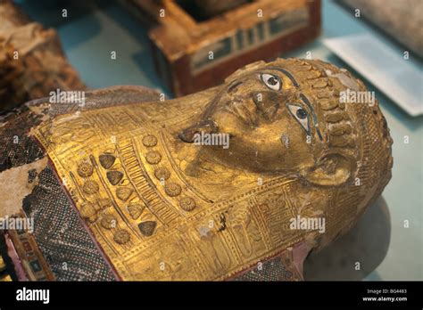 Mummies Hi Res Stock Photography And Images Alamy