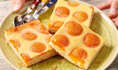 Marillen Blechkuchen Rezept Dr Oetker