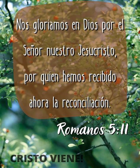 Pin By Rosa Isela On Oracion Lord Jesus Christ Jesus Christ Christ