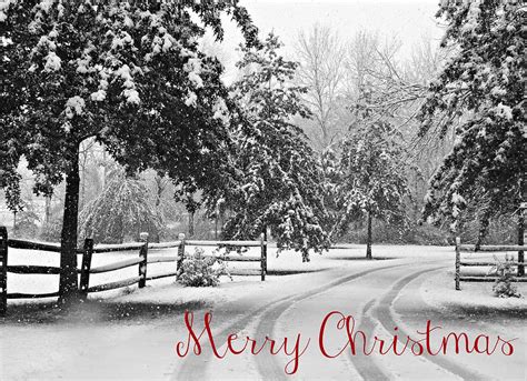 Snowy Tracks Merry Christmas Photograph By Dark Whimsy Fine Art America