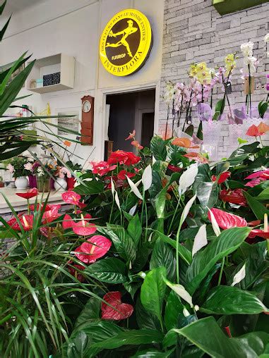 Avis Sur Jean Christian Fleurs 106 Rue Saint Pierre Marseille