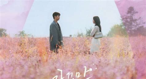 Terjemahan Lirik Lagu The Reason Of My Smiles Bss Seventeen Ost Drama