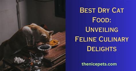 Best Dry Cat Food: Unveiling Feline Culinary Delights - 𝐓ɦ𝖾 𝐍𝗂𝖼𝖾 𝐏𝖾𝗍𝗌