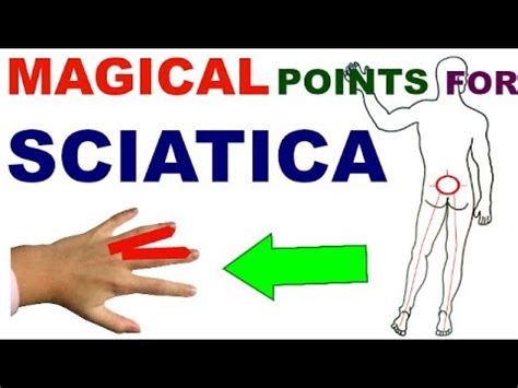 Sujok Therapy For Sciatica Sujok Points For Sciatica Sujok Acupressure