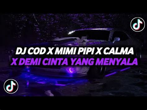 Dj Cod X Mimi Pipi X Calma X Demi Cinta Yang Menyala X Potong Bebek