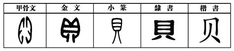 贝字的演变图片贝字甲骨文形成图片 伤感说说吧