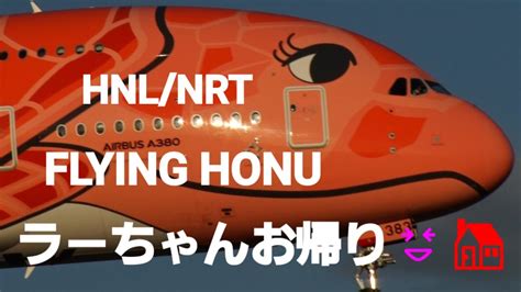 Rjaa成田空港 お帰り～ラーちゃん お帰り😆 🏠️ハワイから成田の空へflying Honu 全日空 All Nippon Airways Airbus A380 841ja383a