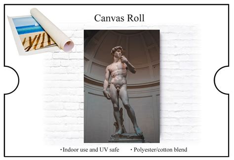 Statue of David Michelangelo Sculpture. Choose From Canvas - Etsy