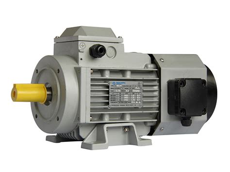 Yvf Series Variable Frequency Motorsinverter Motors