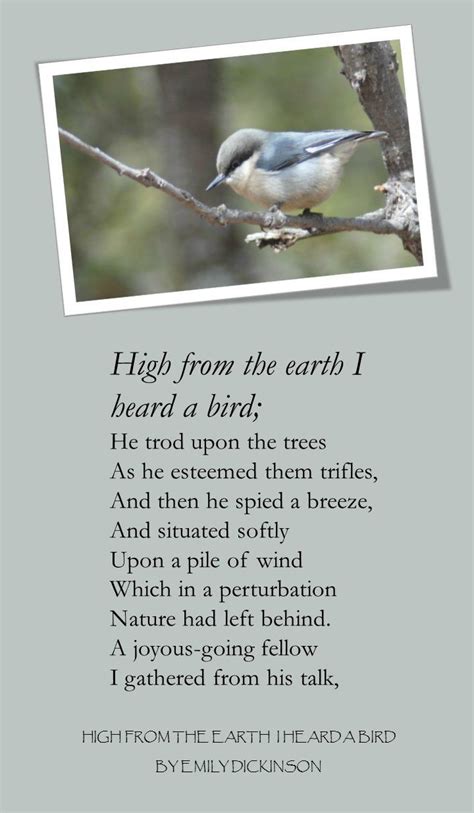 Backyard Birds And The Poets Who Loved Them Is A Poetry Book Featuring