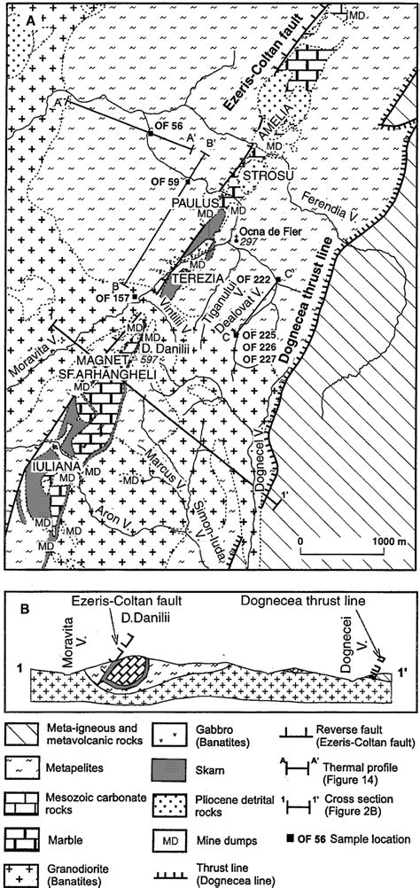 A Geological Map Of The Ocna De Fier Skarn Deposit Simpli®ed After