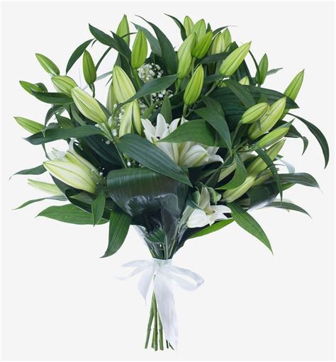 Lilies Delivery | My Express Flowers