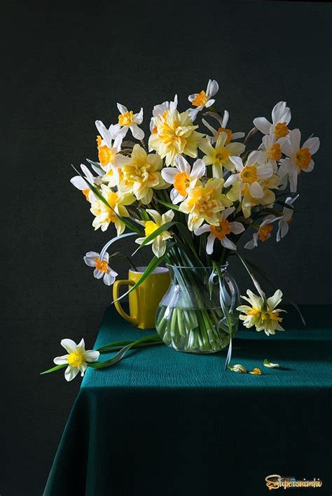 Натюрморт с нарциссами Фотограф Наталья Сабурова | Фотография цветов ...