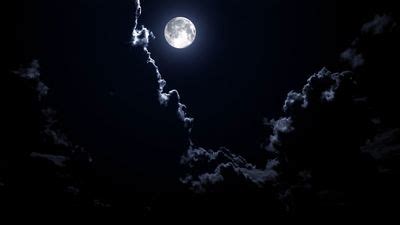 harvest moon description facts britannica