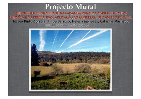 PDF Projecto Mural Todas as paisagens são multifuncionais mas o