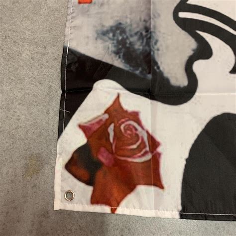 Red Hot Chili Peppers Blood Sugar Sex Magik Album Depop