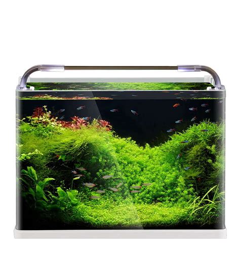 Small Fish Tank Manufacturers, Wholesale Small Fish Tank Company