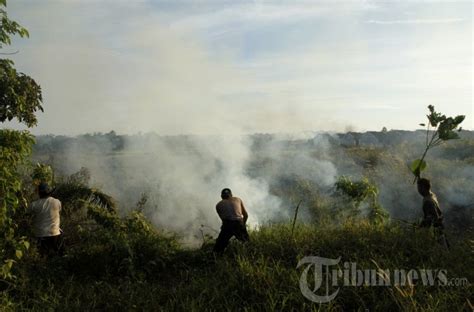 Jumlah Titik Panas Meningkat Di Riau Foto 3 1664324 TribunNews