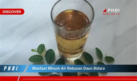 Temukan Manfaat Minum Air Rebusan Daun Bidara Yang Jarang Diketahui