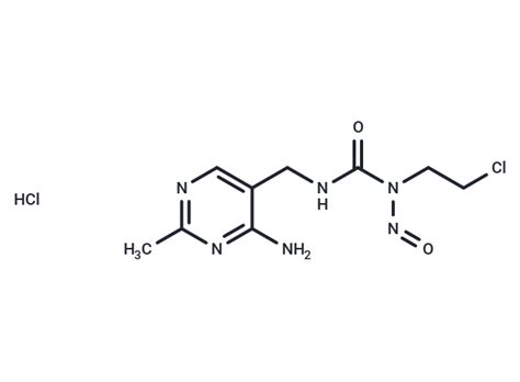nimustine hydrochloride dna alkylatorcrosslinker targetmol