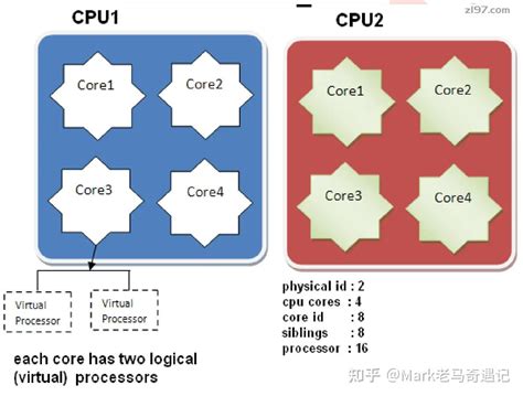 Cpu