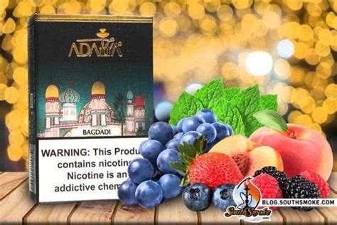 The Best New Adalya Shisha Flavors SouthSmoke