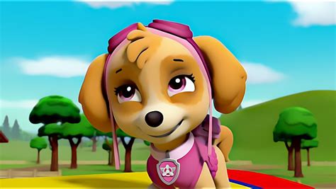 Skye Skye Paw Patrol Fan Art 42905479 Fanpop