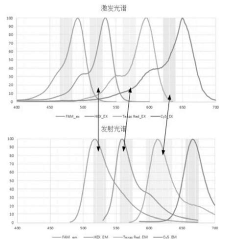 Qpcr仪之时间分辨荧光信号采集 知乎