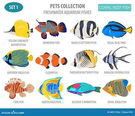 Freshwater Fish Identification Chart | Kemele