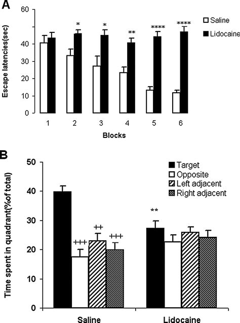 Effect Of Reversible Inactivation Of Locus Ceruleus On Spatial